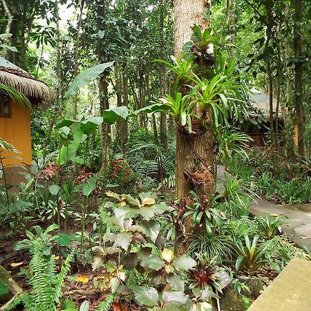 Korrigan Lodge Cahuita Εξωτερικό φωτογραφία