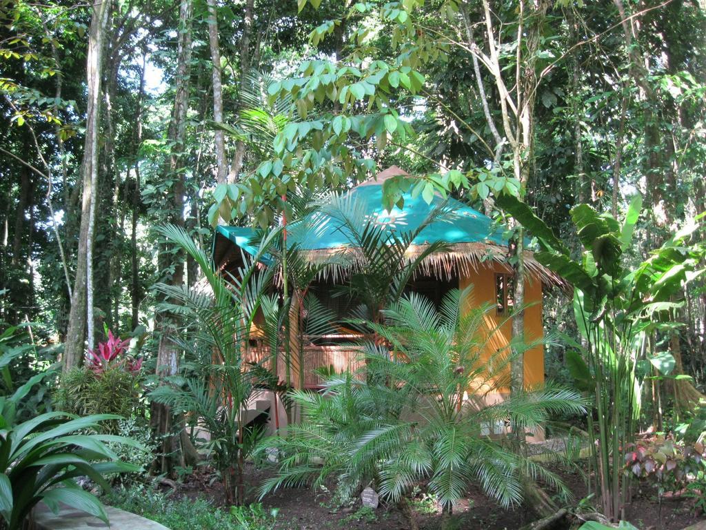 Korrigan Lodge Cahuita Δωμάτιο φωτογραφία