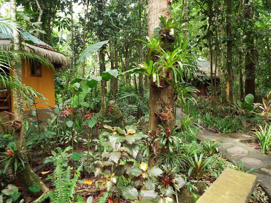 Korrigan Lodge Cahuita Εξωτερικό φωτογραφία