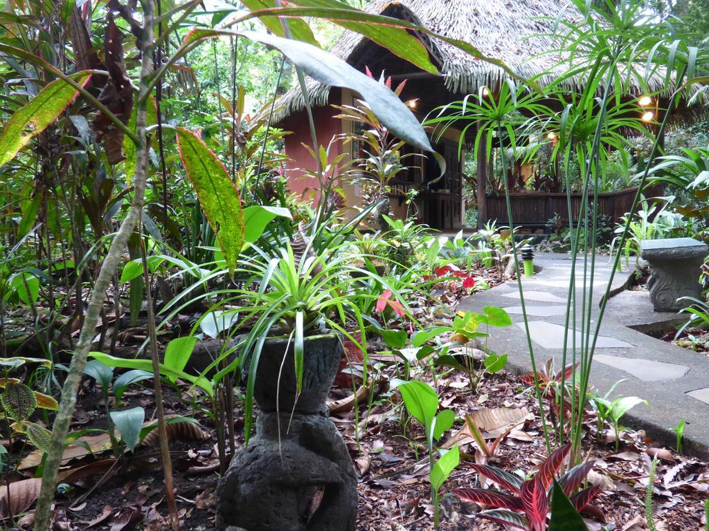 Korrigan Lodge Cahuita Εξωτερικό φωτογραφία