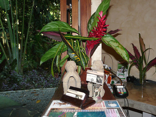 Korrigan Lodge Cahuita Εξωτερικό φωτογραφία