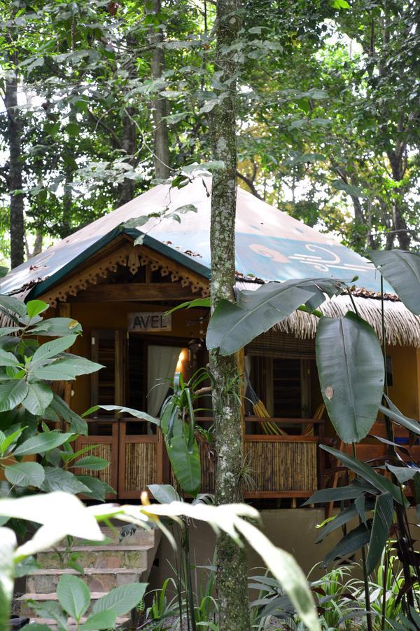 Korrigan Lodge Cahuita Δωμάτιο φωτογραφία